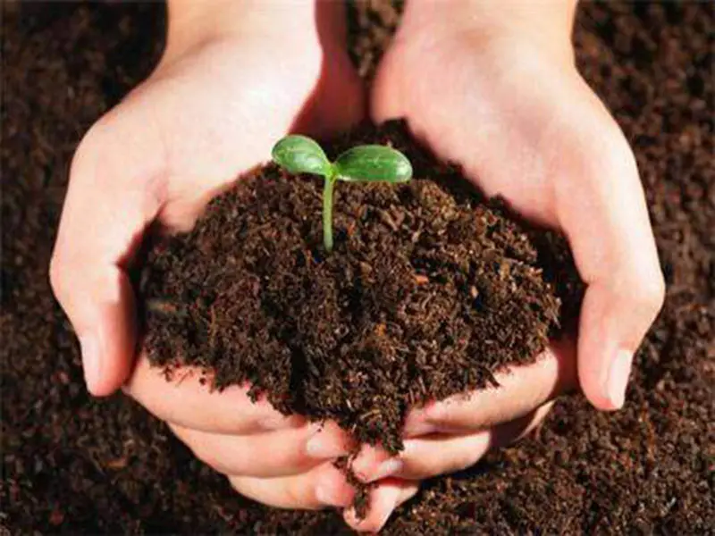 深圳土壤环境调查评估公司-土壤检测收费标准