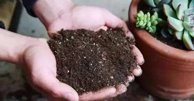 土壤速效磷测试