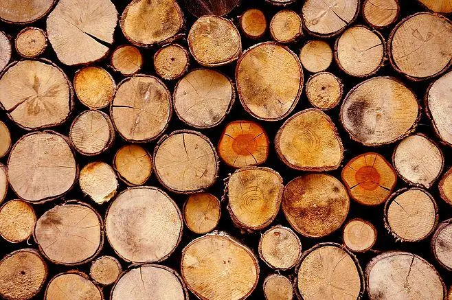 木材/板材检测报告