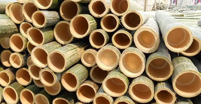 竹材检测