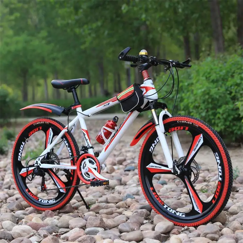 自行车 对城市-旅行车、青少年车