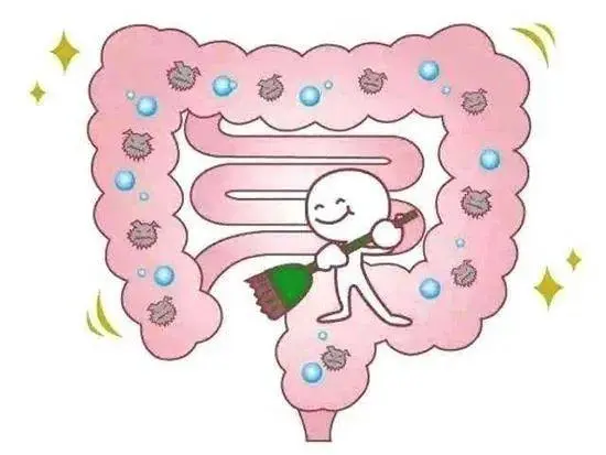 百检网