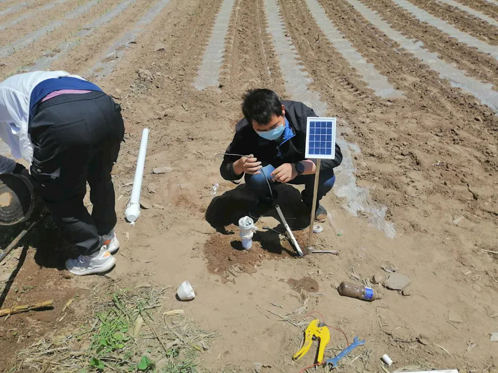 土壤修复及环境质量评价