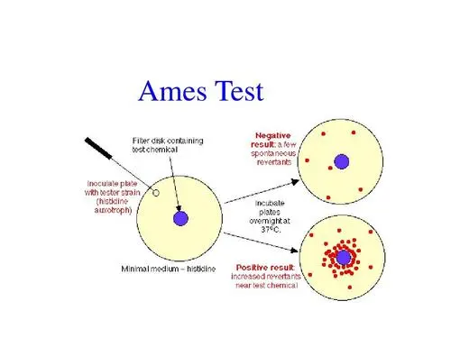 Ames试验
