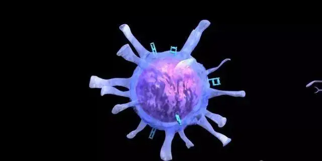 人体细胞免疫功能评价