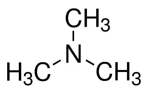 氧化三甲胺及相关代谢物定量分析