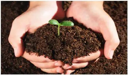 土壤修复及环境质量评价