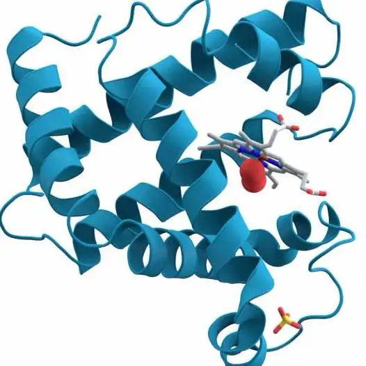 DIA 蛋白质组分析技术