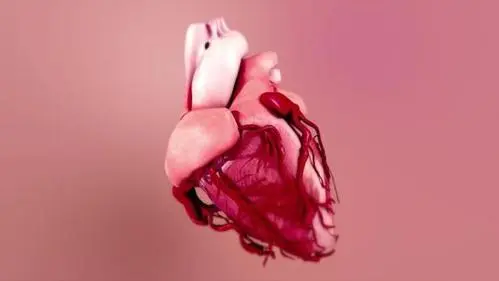 人工心脏瓣膜检测