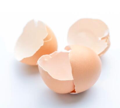 鸡蛋壳检测