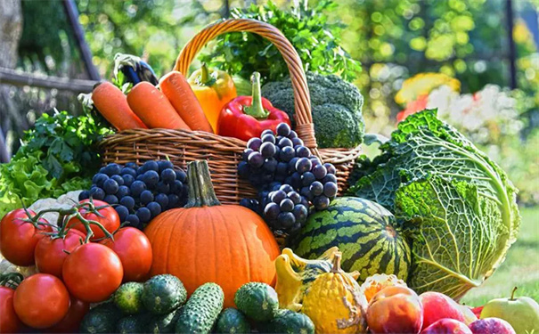 蔬菜及水果制品检测标准，质检报告怎么办理