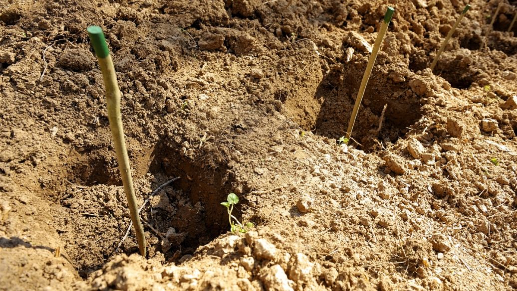 土壤检测样品保存与流转质控原则