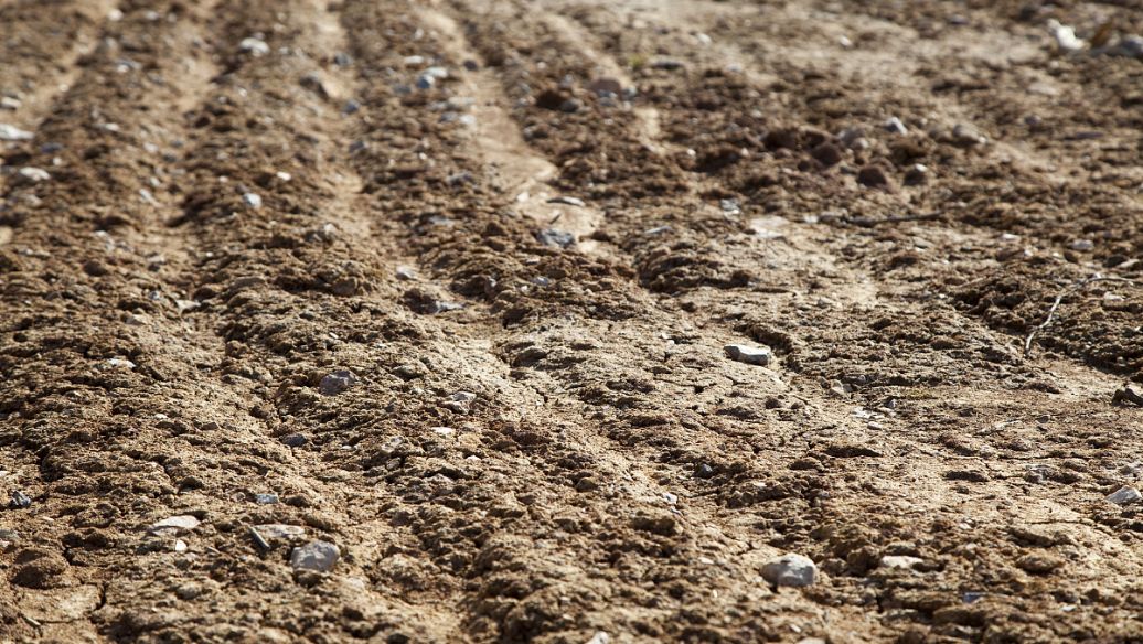 土壤检测分析和农业生产有什么关系？
