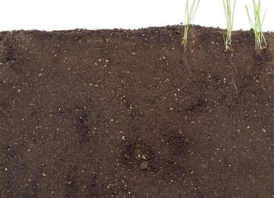 土壤含水量检测的5种方法