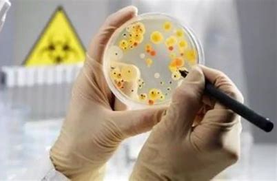 微生物检测中常用灭菌和消毒方法有哪些