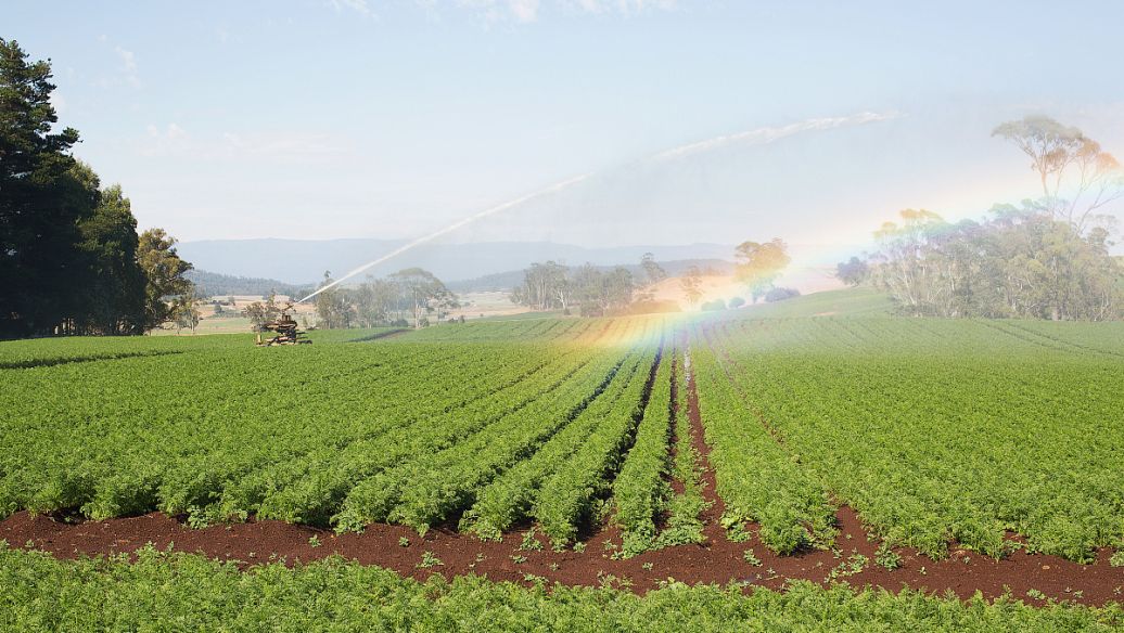 农田灌溉水新标准