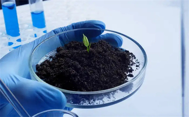 土壤生物学指标检测