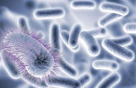 为什么大肠菌群是食品检测中的重要项目！