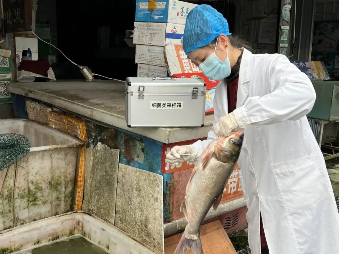 瑶海区启动2022年霍乱弧菌外环境及食品监测工作