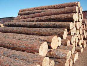 木材的项目与部分检测标准