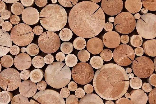 木材的检测项目你知道哪些