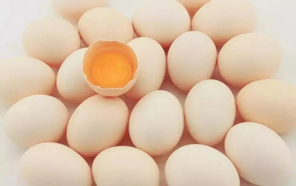 如何检测鸡蛋质量如何？有哪些检测项目？