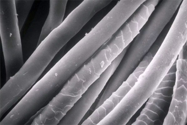 木质素纤维灰分含量试验报告