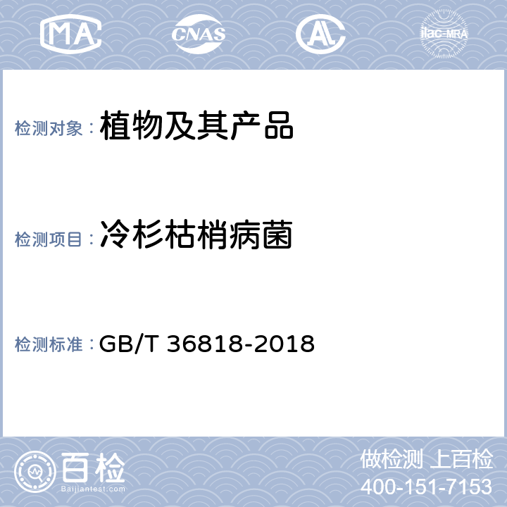 冷杉枯梢病菌 冷杉枯梢病菌检疫鉴定方法 GB/T 36818-2018