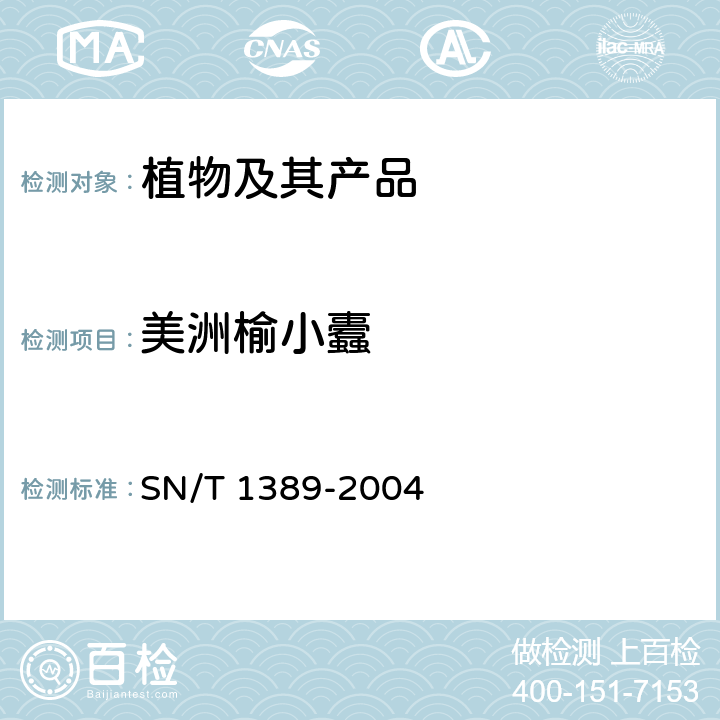 美洲榆小蠹 美洲榆小蠹检疫鉴定方法 SN/T 1389-2004