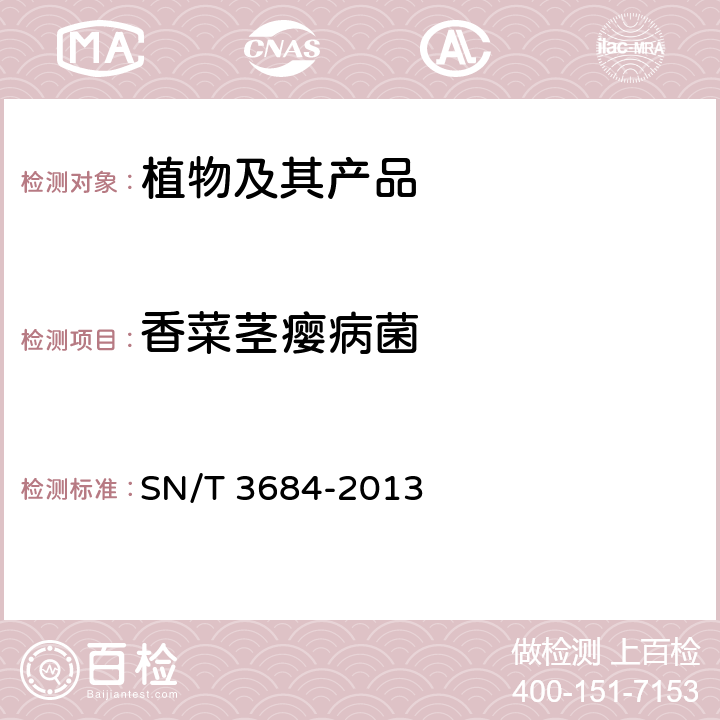 香菜茎瘿病菌 SN/T 3684-2013 香菜茎瘿病菌检疫鉴定方法