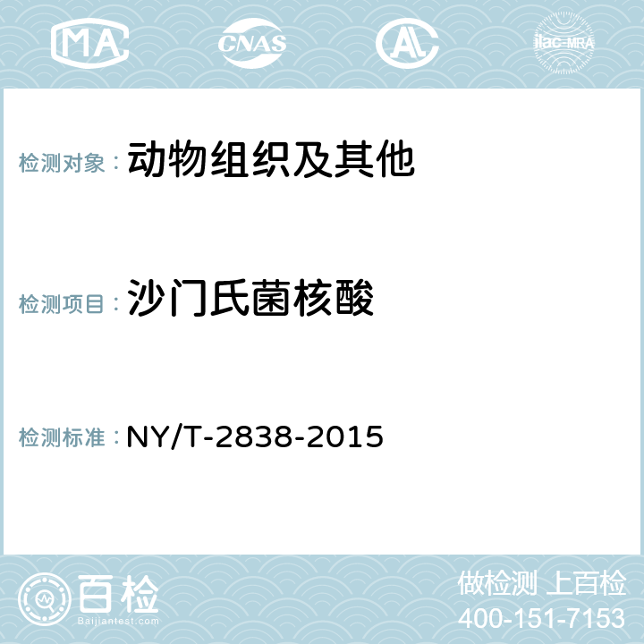 沙门氏菌核酸 NY/T 2838-2015 禽沙门氏菌病诊断技术