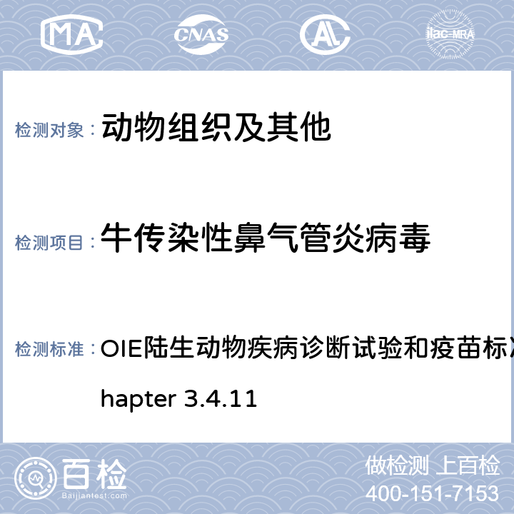 牛传染性鼻气管炎病毒 牛传染性鼻气管炎 OIE陆生动物疾病诊断试验和疫苗标准手册，2017 Chapter 3.4.11