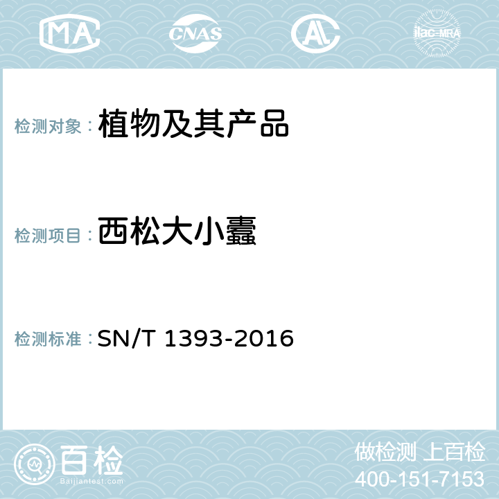 西松大小蠹 SN/T 1393-2016 西松大小蠹检疫鉴定方法