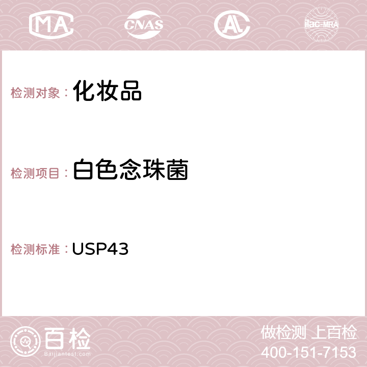 白色念珠菌 美国药典 USP43 62 非无菌产品微生物测试-指定微生物的测试