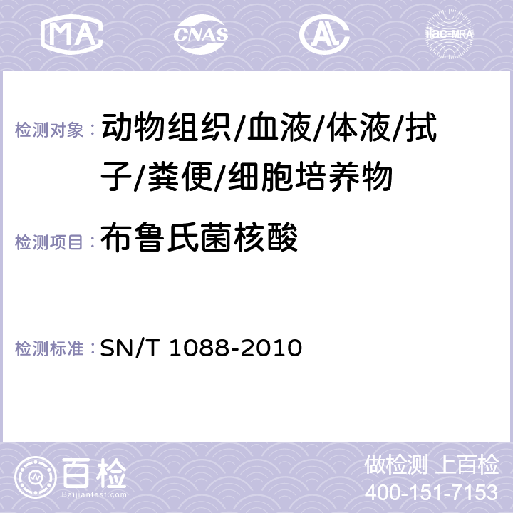 布鲁氏菌核酸 布氏杆菌检疫技术规范 SN/T 1088-2010