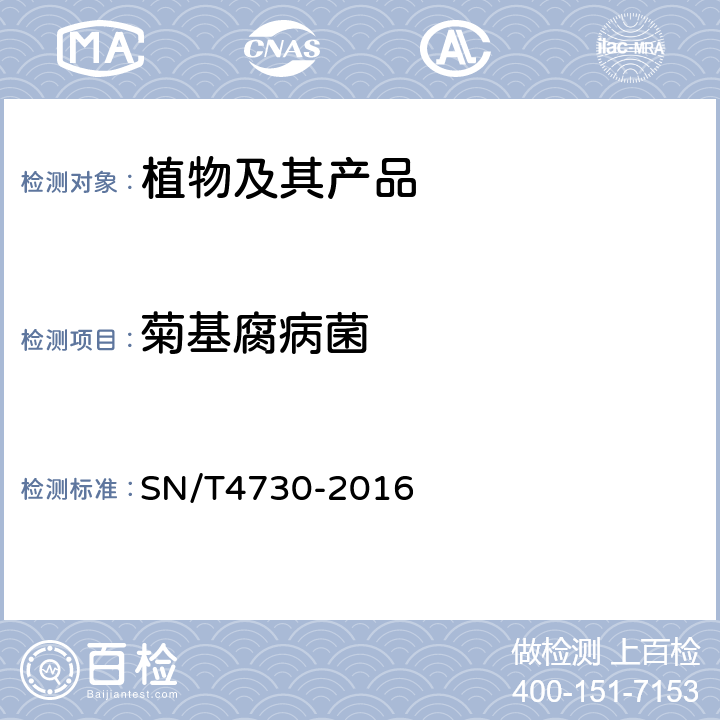 菊基腐病菌 SN/T 4730-2016 菊基腐病菌检疫鉴定方法