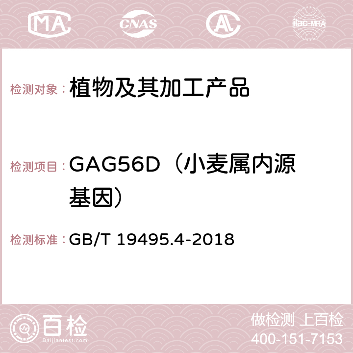 GAG56D（小麦属内源基因） GB/T 19495.4-2018 转基因产品检测 实时荧光定性聚合酶链式反应（PCR）检测方法