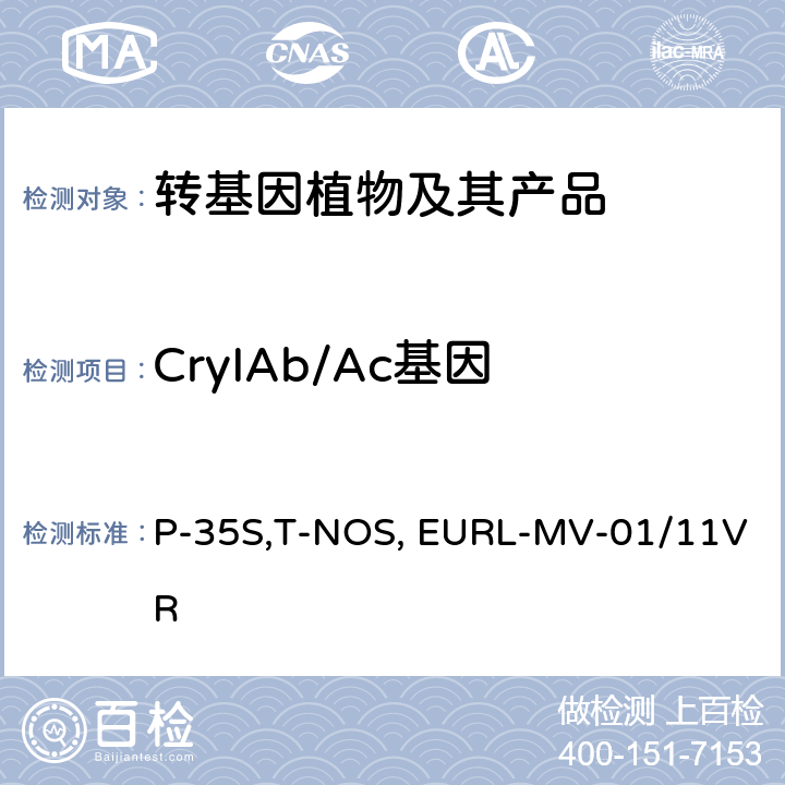 CryIAb/Ac基因 P-35S,T-NOS, EURL-MV-01/11VR 应用P-35S,T-NOS和CryIAb/Ac的实时PCR方法检测中国转基因大米成分的修订指南 EURL-MV-01/11VRrev1（2014）