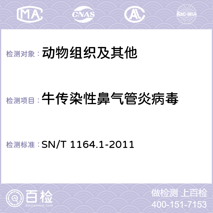 牛传染性鼻气管炎病毒 牛传染性鼻气管炎检疫技术规范 SN/T 1164.1-2011