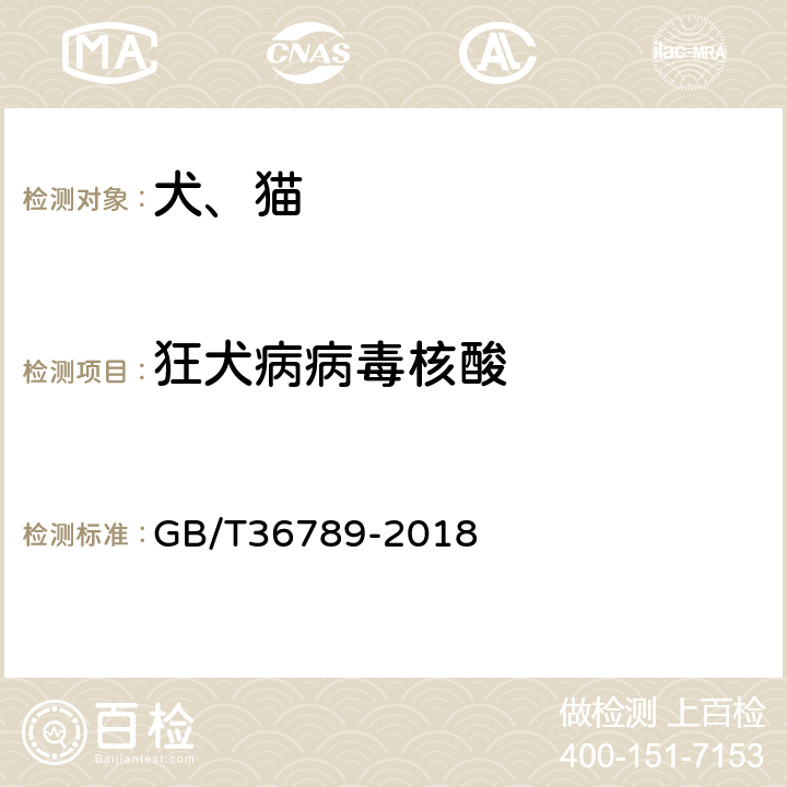 狂犬病病毒核酸 动物狂犬病病毒核酸检测方法  GB/T36789-2018 4.5