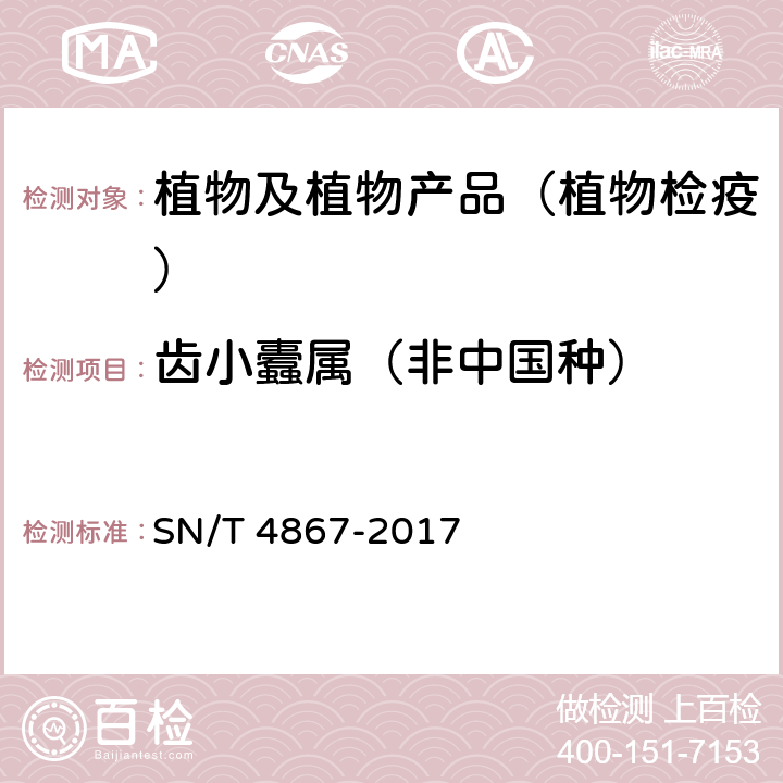 齿小蠹属（非中国种） SN/T 4867-2017 齿小蠹属(非中国种)检疫鉴定方法