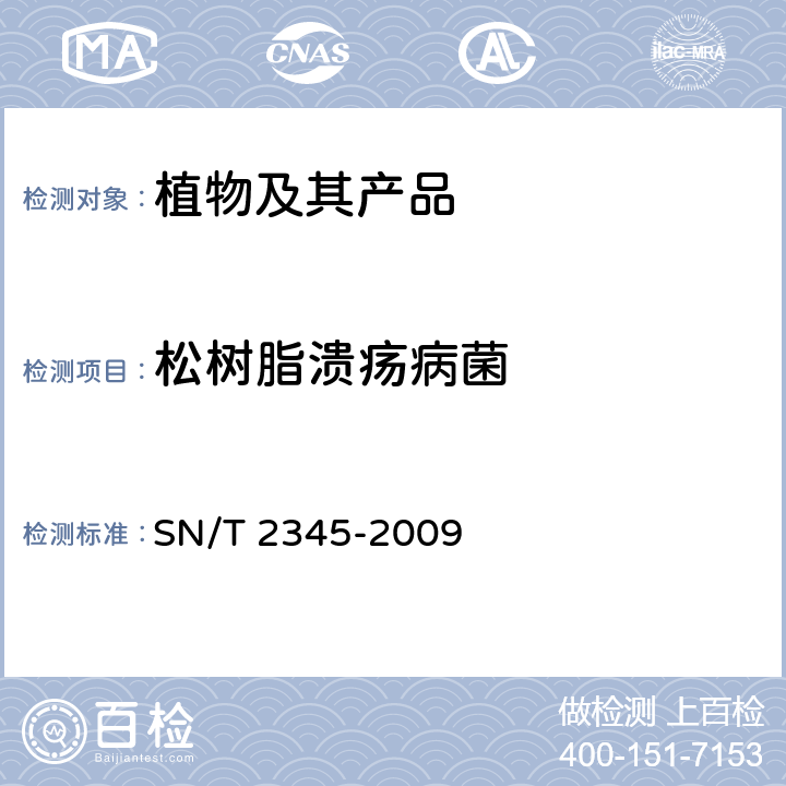 松树脂溃疡病菌 松树脂溃疡病菌检疫鉴定方法 SN/T 2345-2009