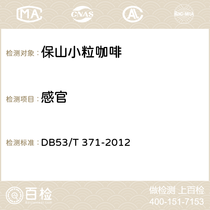 感官 地理标志产品 保山小粒咖啡 DB53/T 371-2012