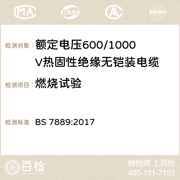 燃烧试验 BS 7889:2017 额定电压600/1000V热固性绝缘无铠装电缆  14