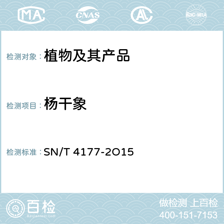 杨干象 SN/T 4177-2015 杨干象检疫鉴定方法