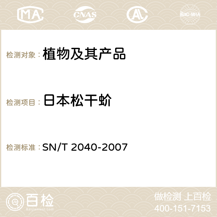 日本松干蚧 日本松干蚧检疫鉴定方法 SN/T 2040-2007