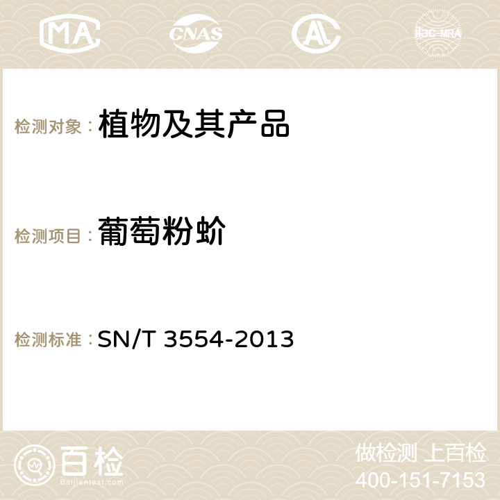 葡萄粉蚧 葡萄粉蚧检疫鉴定方法 SN/T 3554-2013