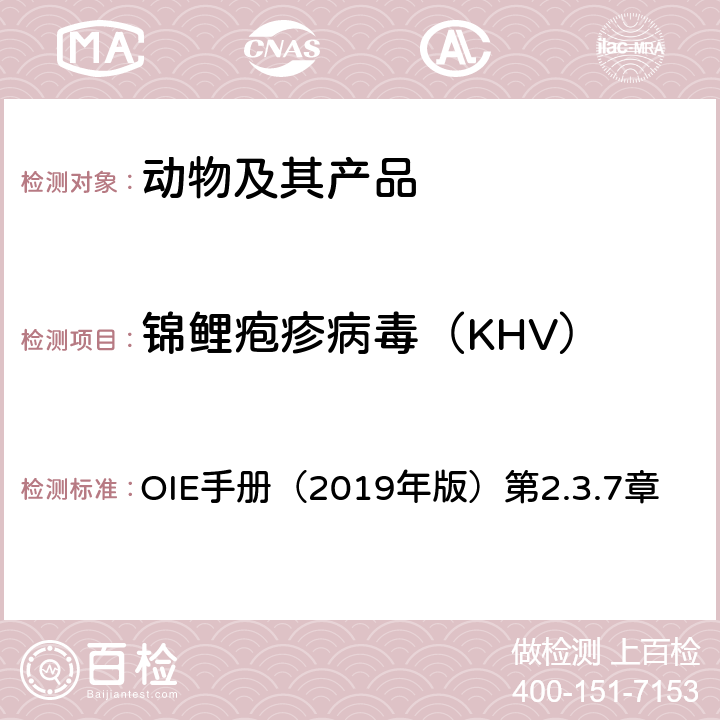 锦鲤疱疹病毒（KHV） OIE《水生动物疾病诊断手册》 OIE手册（2019年版）第2.3.7章