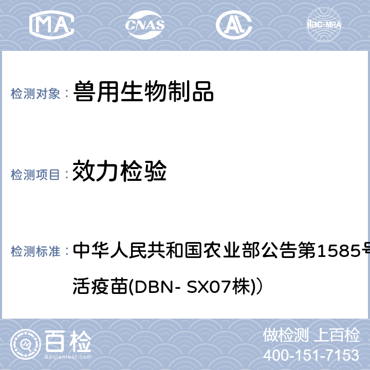 效力检验 血清学法 中华人民共和国农业部公告第1585号（猪圆环病毒2型灭活疫苗(DBN- SX07株)）