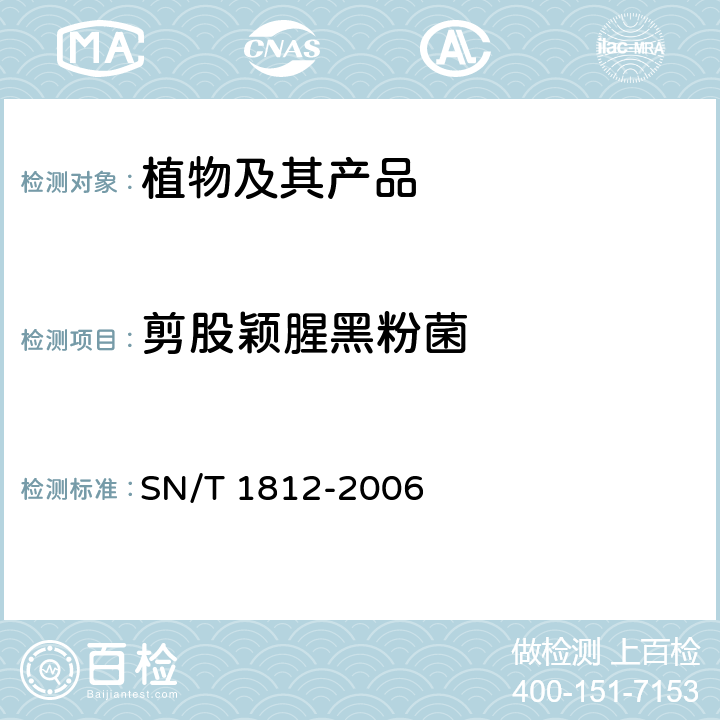 剪股颖腥黑粉菌 禾草腥黑粉菌、剪股颖腥黑粉菌、黑麦草腥黑粉菌检疫鉴定方法 SN/T 1812-2006